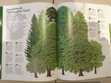 Nouvel article N° 471