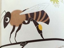 Abeille
