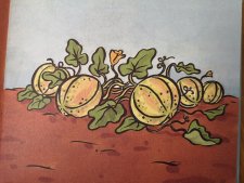 Melon