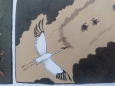 Cigogne