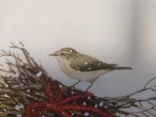 un oiseau