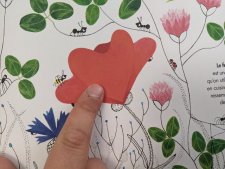 Coquelicot
