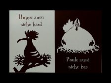 Huppe