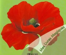 Coquelicot
