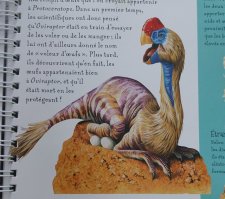 Oviraptor