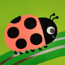Coccinelle