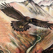 aigle