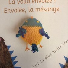 mesange bleu