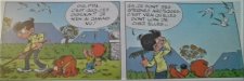Sterne arctique