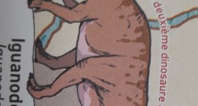 Iguanodon