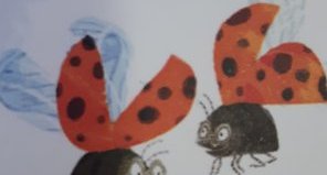 coccinelle
