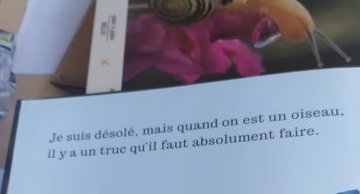 Oiseau