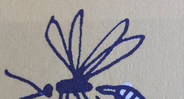 Libellule