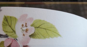 Pommier