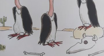 vautour