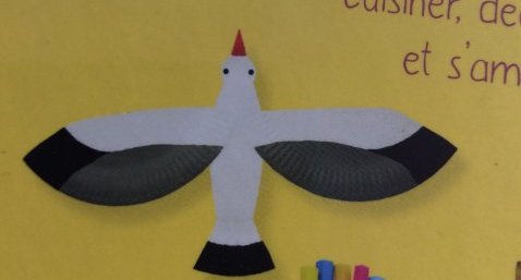 Une mouette