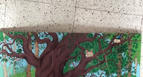 Vieil arbre
