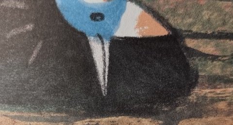 Oiseau