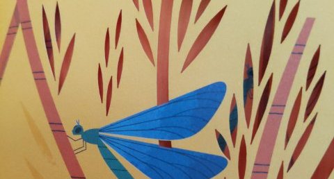 Demoiselle
