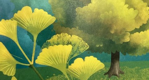 Ginkgo Biloba