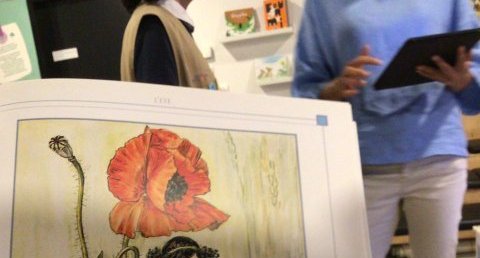 La fée des coquelicots