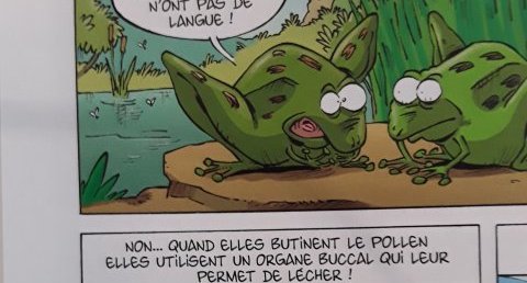 AbeilleqAbeilleq