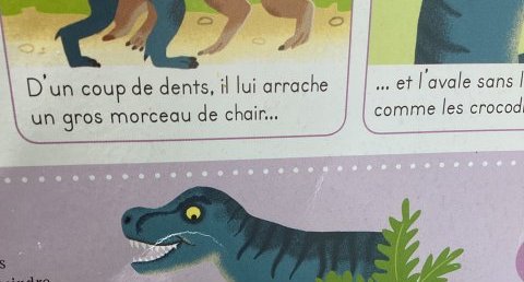 Tyrannosaure rex