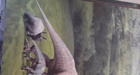 Riojasaurus
