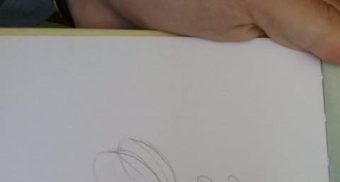 Abeille