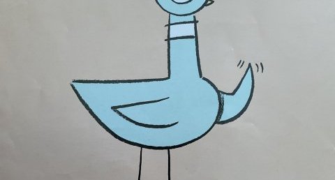Pigeon