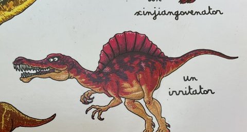 irritator