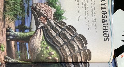 Ankylosaurus