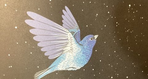 Passerins indigo