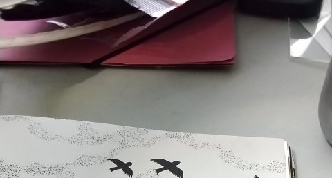 Passériformes
