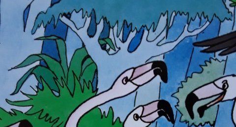 Flamant rose
