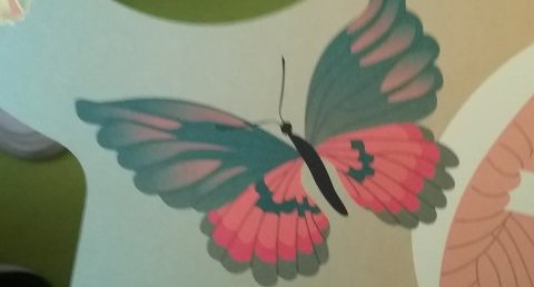 Papillon