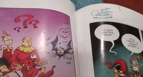 Chauves-souris