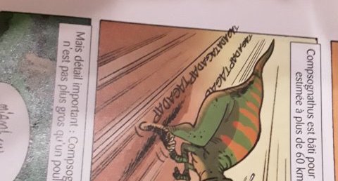 Compsognathus