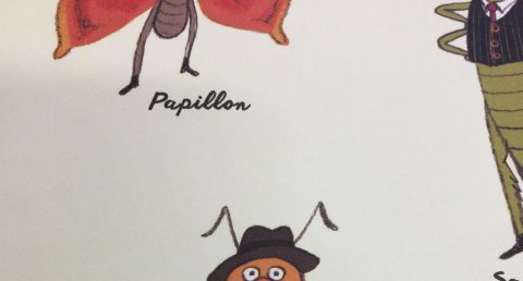 Abeille solitaire