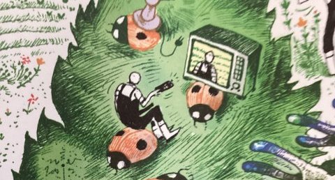 Coccinelle