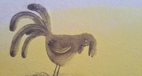 Un coq