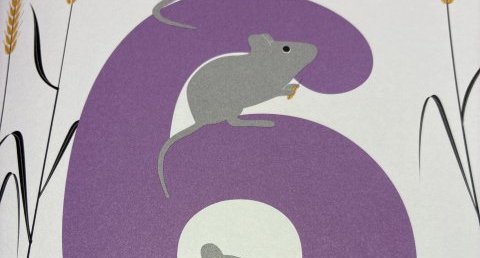 Souris