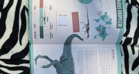 Masiakasaurus knopfleri