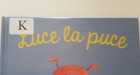 Puce
