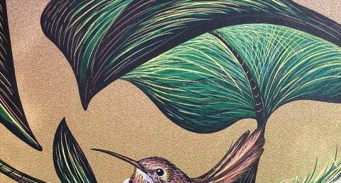 Oiseau-mouche