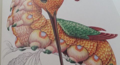 Colibrille pattes