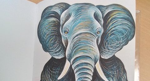Éléphant d'Afrique