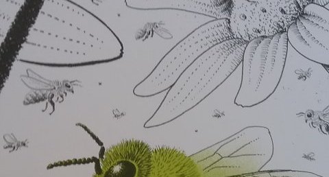 Abeille