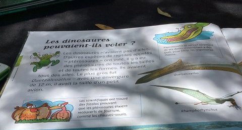 Peloneustes