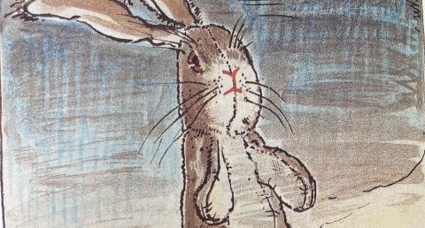 Lapin